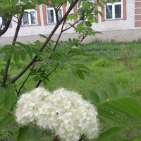Курпяева Галина Александровна