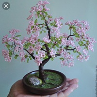 Домбаева Хава 