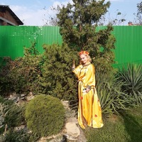 Сидорова Елена Васильевна