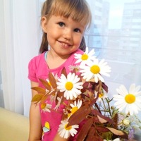 Ингодова Ника Дмитриевна