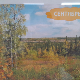 Конкурсная работа "Осеннее вдохновение"